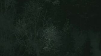 Star City S01E07 WEB H264-RBB